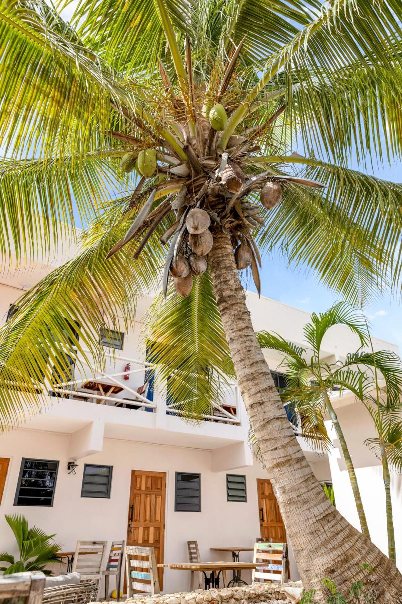 The Hut Bonaire Hotell Playa Exteriör bild